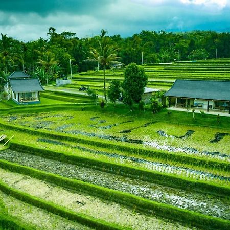 Kubu D'Ume Homestay Jatiluwih Exteriér fotografie