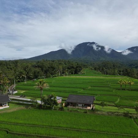 Kubu D'Ume Homestay Jatiluwih Exteriér fotografie