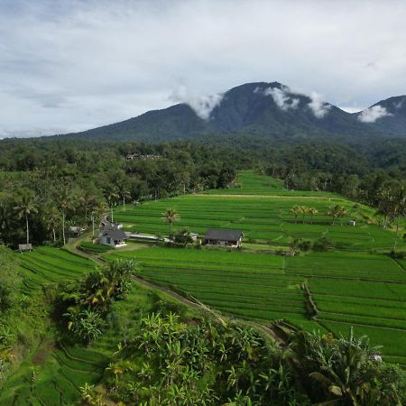 Kubu D'Ume Homestay Jatiluwih Exteriér fotografie