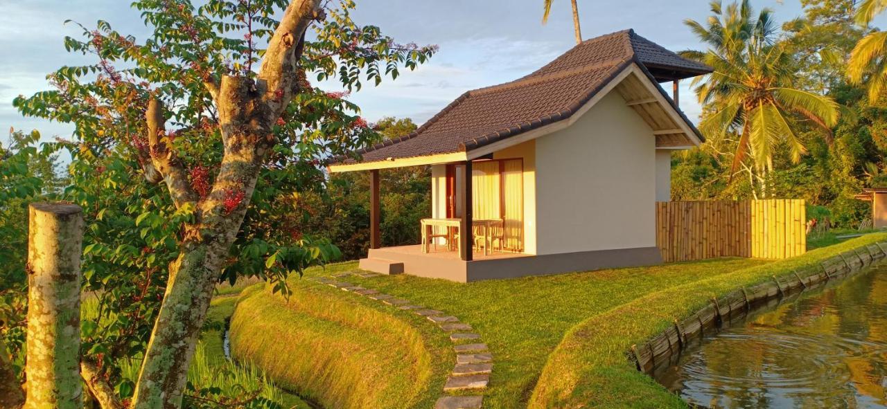Kubu D'Ume Homestay Jatiluwih Exteriér fotografie