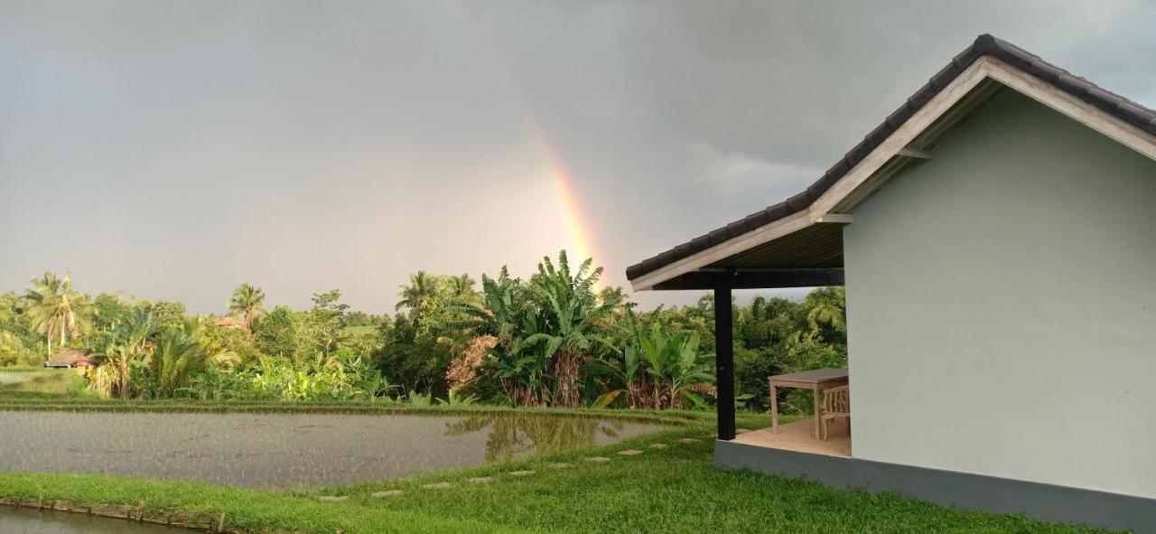 Kubu D'Ume Homestay Jatiluwih Exteriér fotografie