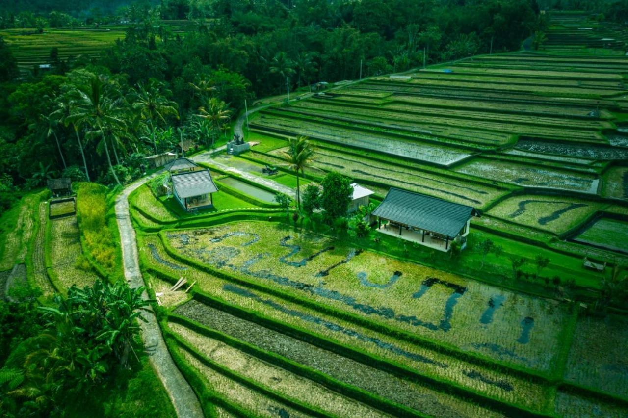 Kubu D'Ume Homestay Jatiluwih Exteriér fotografie