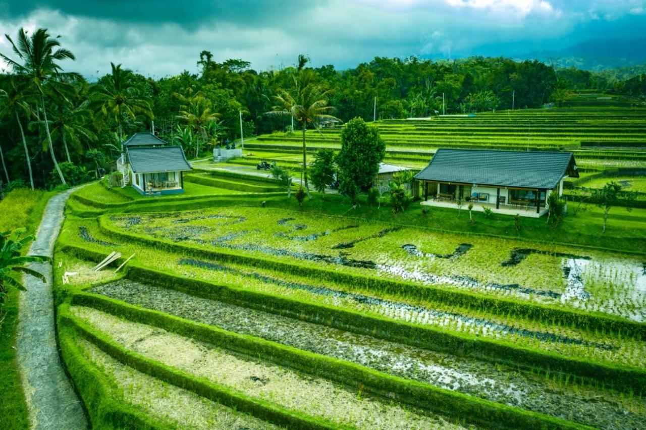 Kubu D'Ume Homestay Jatiluwih Exteriér fotografie