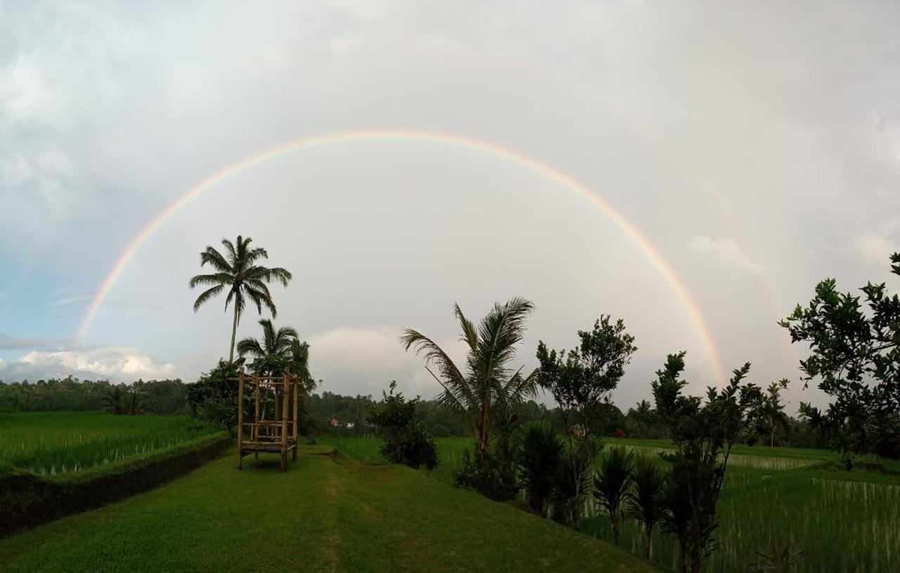 Kubu D'Ume Homestay Jatiluwih Exteriér fotografie