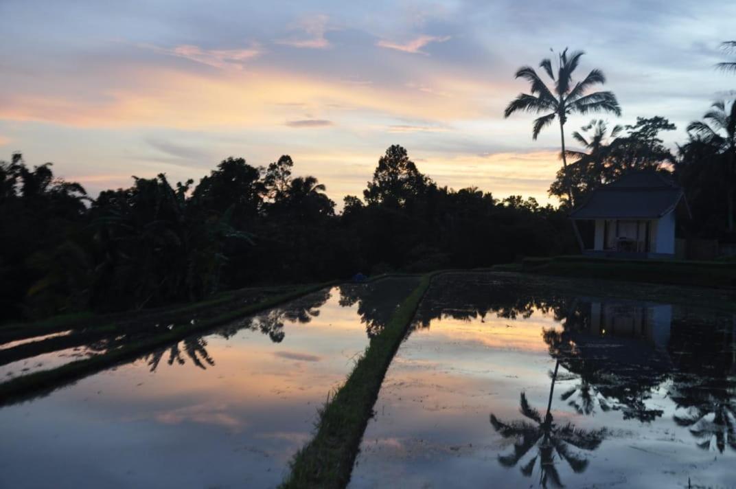 Kubu D'Ume Homestay Jatiluwih Exteriér fotografie