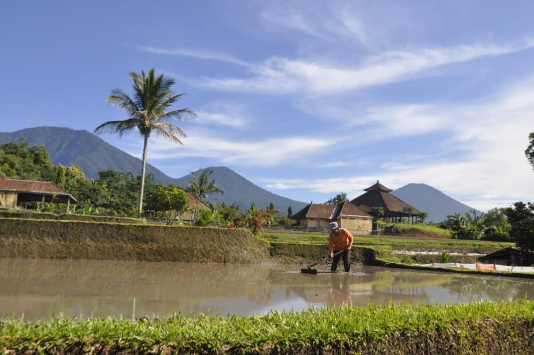 Kubu D'Ume Homestay Jatiluwih Exteriér fotografie