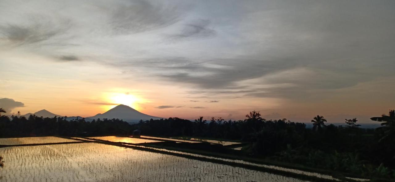 Kubu D'Ume Homestay Jatiluwih Exteriér fotografie