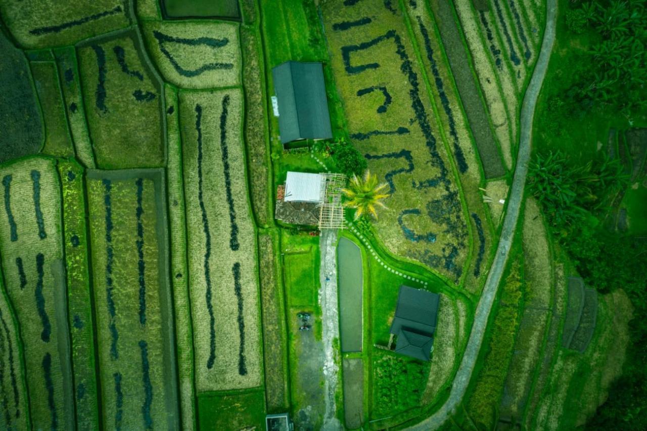 Kubu D'Ume Homestay Jatiluwih Exteriér fotografie