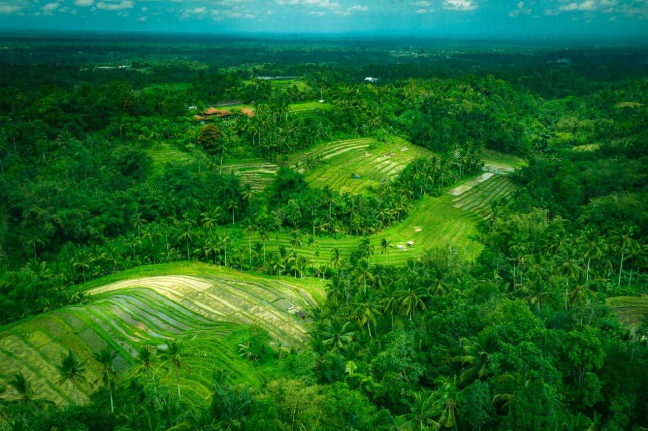 Kubu D'Ume Homestay Jatiluwih Exteriér fotografie