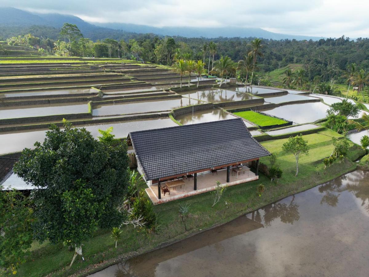 Kubu D'Ume Homestay Jatiluwih Exteriér fotografie