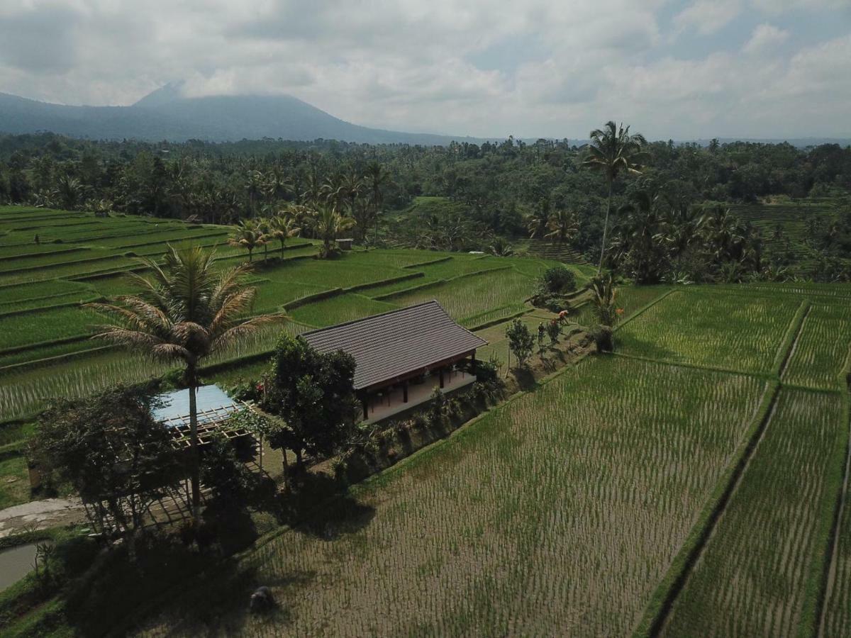 Kubu D'Ume Homestay Jatiluwih Exteriér fotografie