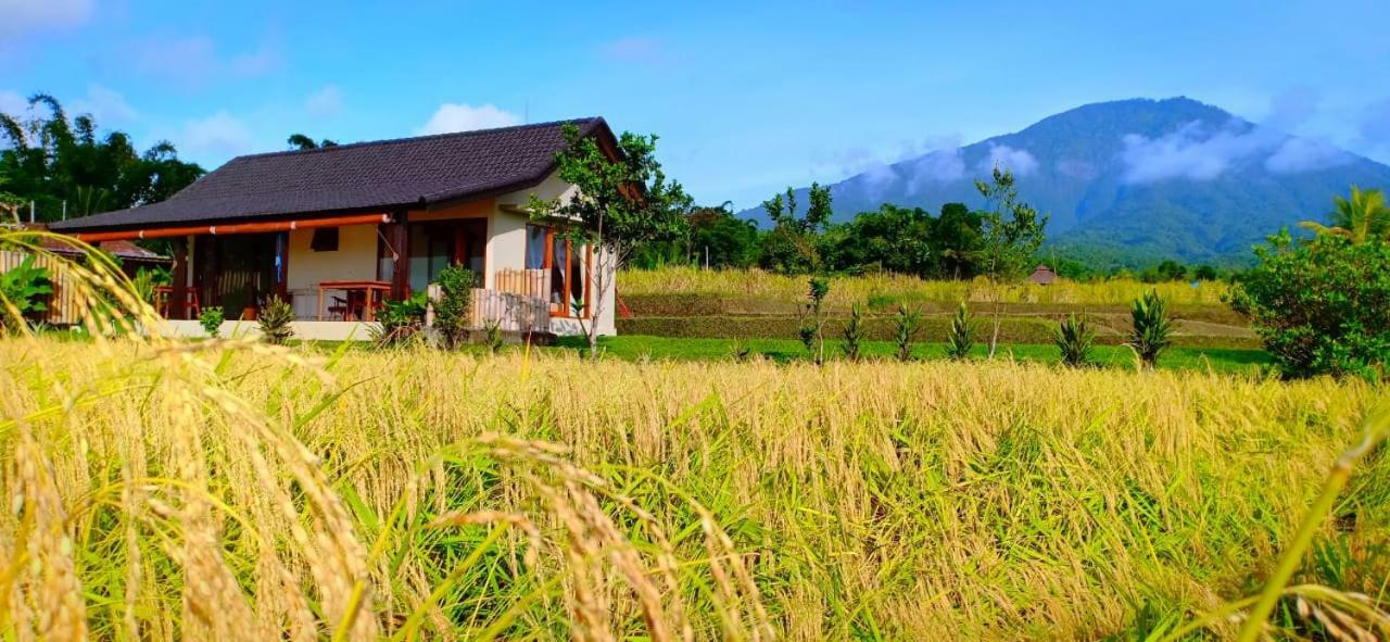 Kubu D'Ume Homestay Jatiluwih Exteriér fotografie