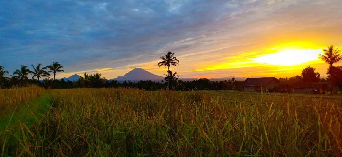 Kubu D'Ume Homestay Jatiluwih Exteriér fotografie