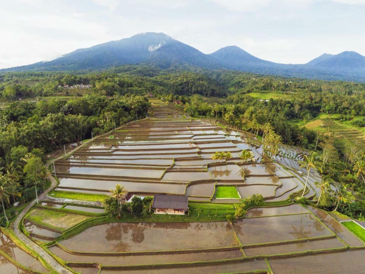 Kubu D'Ume Homestay Jatiluwih Exteriér fotografie
