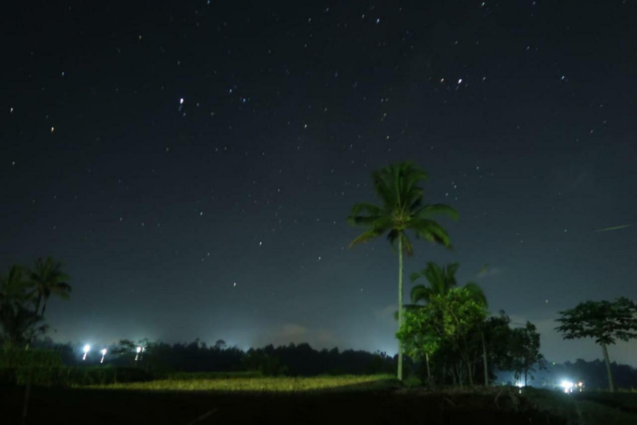 Kubu D'Ume Homestay Jatiluwih Exteriér fotografie