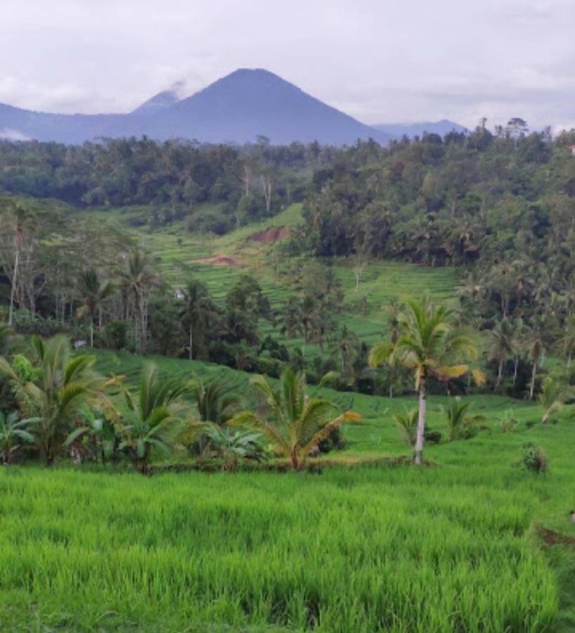 Kubu D'Ume Homestay Jatiluwih Exteriér fotografie