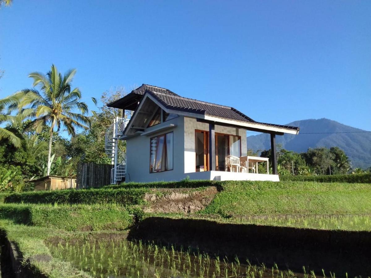 Kubu D'Ume Homestay Jatiluwih Exteriér fotografie