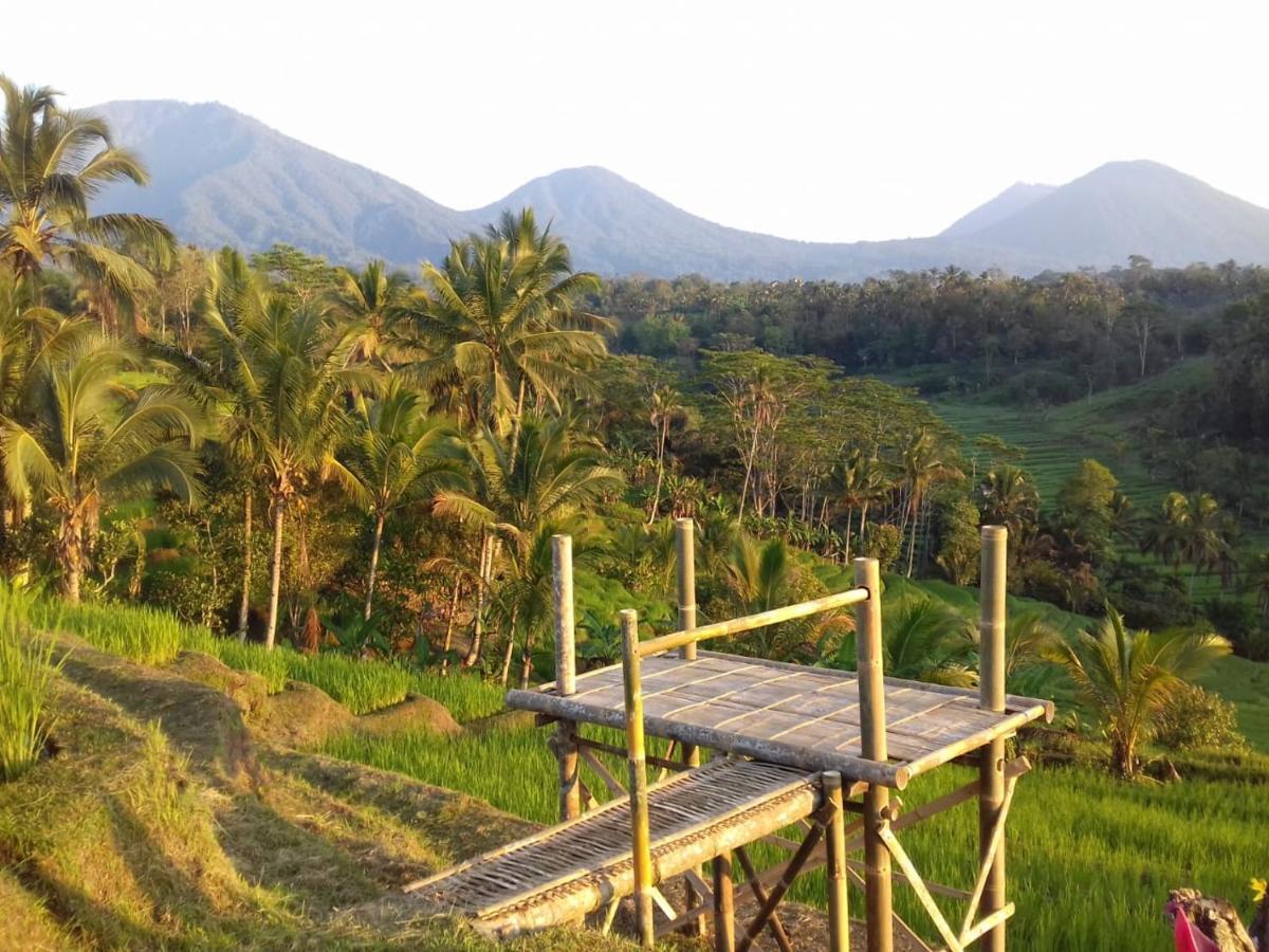 Kubu D'Ume Homestay Jatiluwih Exteriér fotografie