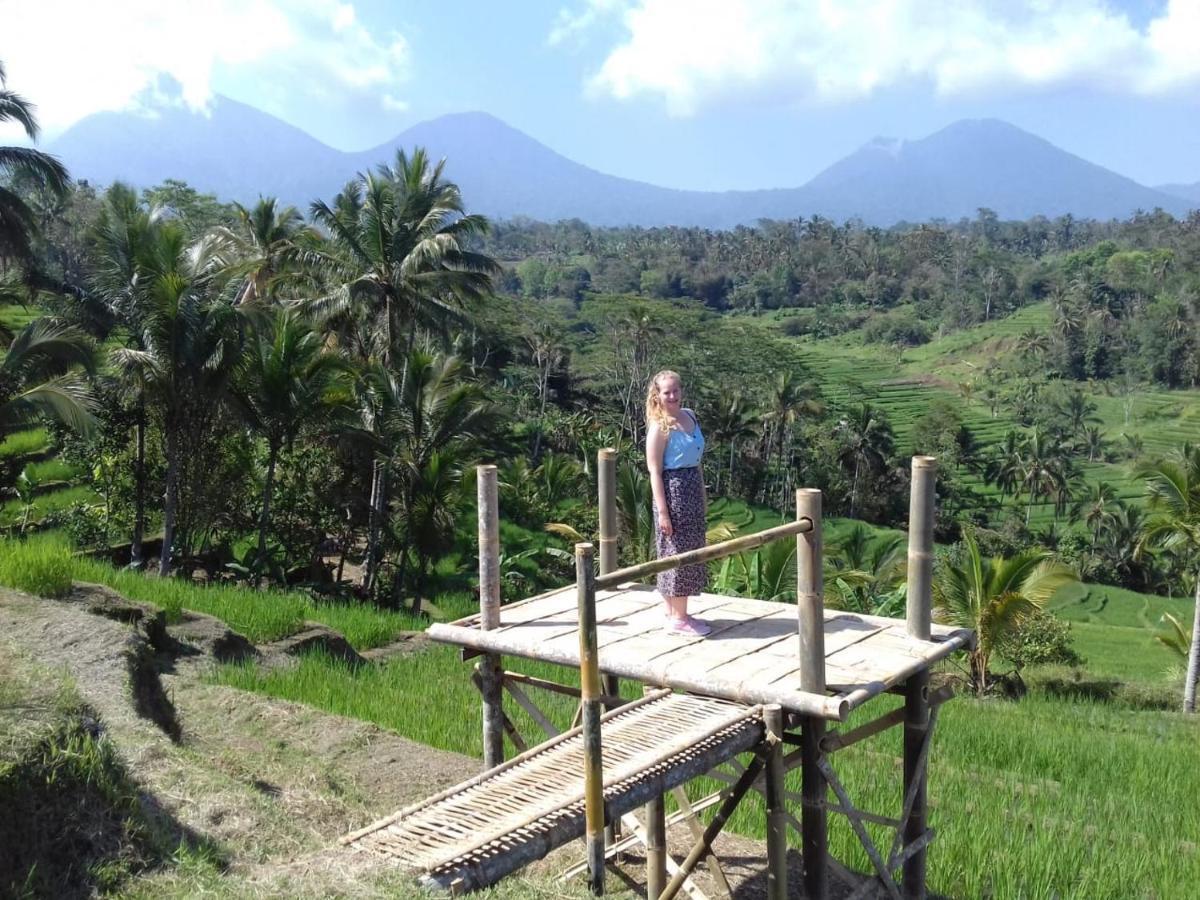 Kubu D'Ume Homestay Jatiluwih Exteriér fotografie